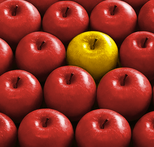 Stand Out From The Crowd – The Yellow Apple Story